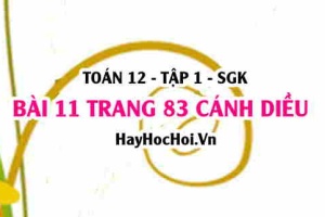 Bài 11 trang 83 Toán 12 tập 1 Cánh Diều